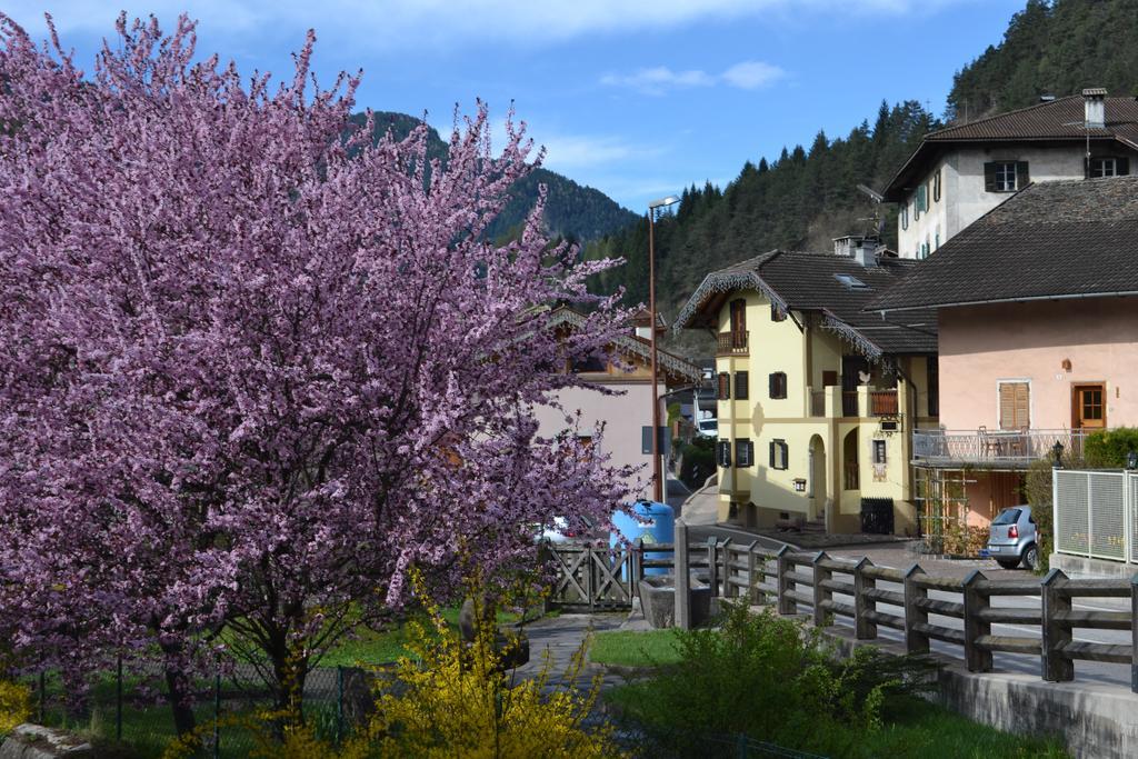 B&B La Tana Dell'Orso - Die Baerenhoehle Castello-Molina di Fiemme Exteriör bild