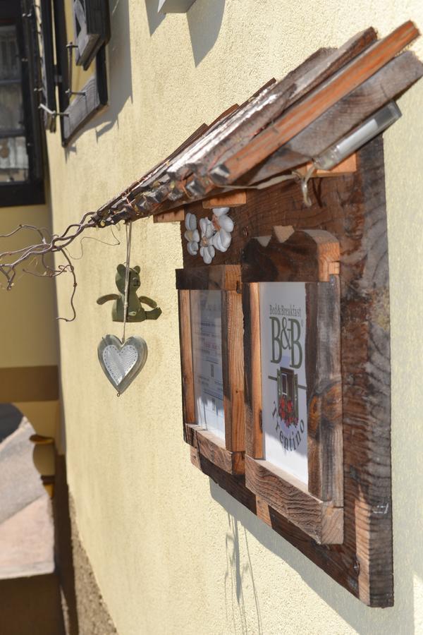 B&B La Tana Dell'Orso - Die Baerenhoehle Castello-Molina di Fiemme Exteriör bild